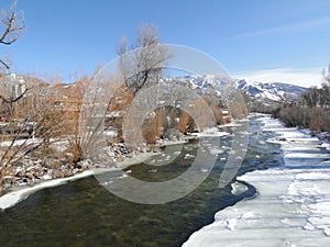 Yampa River with ice and cottonwoods in winter,