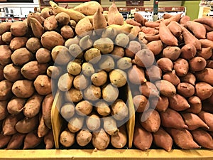 Yams and sweet potatoes stacked up at the market