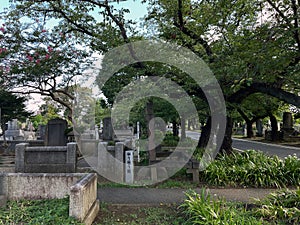 Yanaka Ginza Cemetery Graveyard: Tokyo\'s Timeless Enclave, Tokyo, Japan