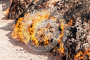 Yanar Dag - burning mountain. Azerbaijan. closeup view photo