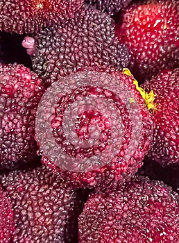 Yang Mei fruit, red fruit, edible with the entire peel