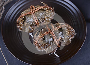 Yangcheng lake hairy crabs,suzhou city