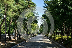 Yanghwajin foreign missionary cemetery