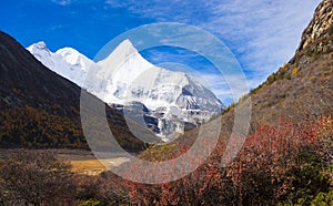 The Yangmayong snow mountain and the autumn red leaves