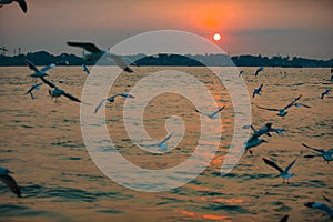 Yangon River at Sunset near Botahtaung Harbour photo