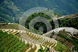 Yangshuo scenery