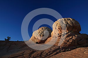 Yant Flat - Candy Cliffs Utah,USA
