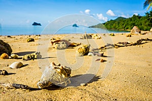 Yaonoi beach,phuket,thailand