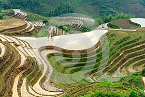 Yaoshan Mountain, Guilin, China hillside rice terraces