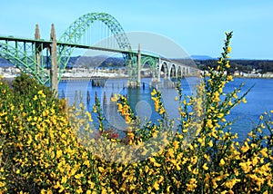 Yaquina Bay Bridge photo