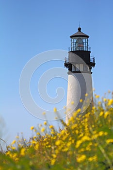 Yaquina Head Lighthouse