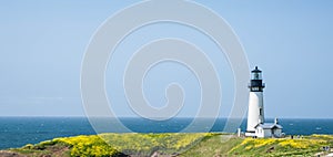 Yaquina Head Lighthouse in bloom