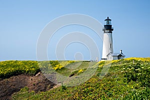 Yaquina Head Lighthouse in bloom