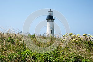 Yaquina Head Lighthouse in bloom