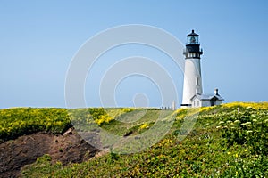 Yaquina Head Lighthouse in bloom photo