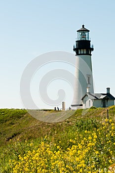 Yaquina Head Lighthouse Oregon photo