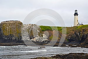 Yaquina lighthouse Oregon USA