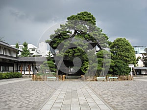 Yard of a Buddhist temple in Tokyo