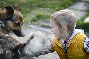 A yard dog and a small child are playing