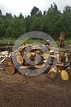 In the yard grass on the grass firewood