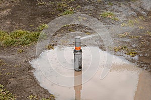 Yard grass sprinkler. Water springer in puddle surrounded bare earth. Garden grass irrigation