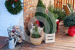 Yard house decorated for Christmas. Xmas decorated house terrace. Wooden Porch home in Christmas trees. Winter terrace of house wi