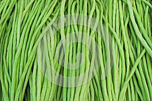 Yard long bean, Healthy vegetables. material raw for cooking. te