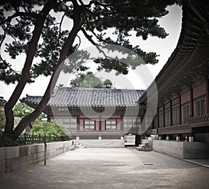 Yard, pine trees, ancient house of Korean Palace