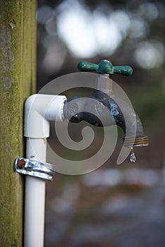 yard spigot