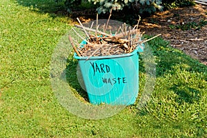 Yard Waste Container