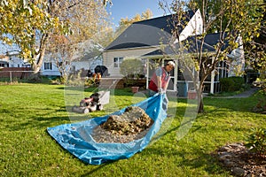 Yard Work photo