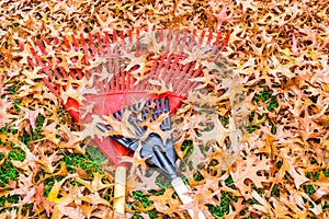 Yard work, fall leaves in kentucky with rakes.