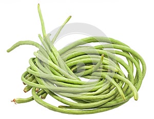 Yardlong beans isolated on white background