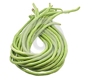 Yardlong beans isolated on white background