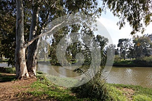 Yarkon River and Park in Tel Aviv