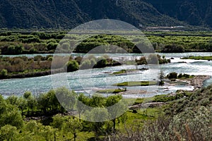 Yarlung Zangbo River Canyon and Bushes, Nyingchi, Tibet, China