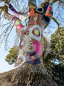 Yarn bombed tree