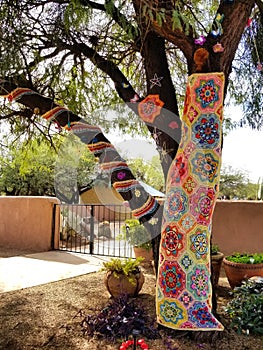 Yarn-bombed tree with brightly colored fabric wrap