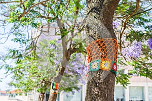 Yarn bombing in a tree. European park.