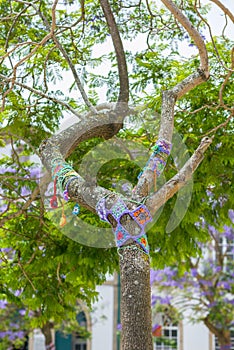 Yarn bombing in trees. European park.