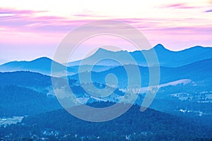 Yarra Ranges National Park at sunset.