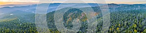 Yarra Ranges National Park at sunset in Victoria.