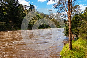 Yarra River Flooding in Warrandyte Australia