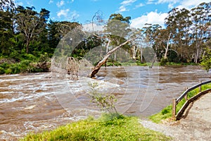 Yarra River Flooding in Warrandyte Australia
