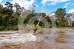 Yarra River Flooding in Warrandyte Australia