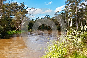 Yarra River Flooding in Warrandyte Australia