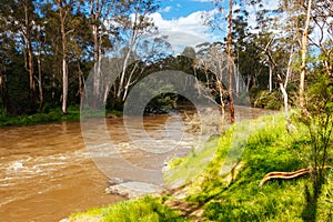 Yarra River Flooding in Warrandyte Australia