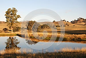 Yarra Valley