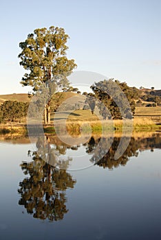 Yarra Valley