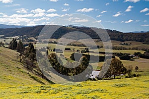 Yarra Valley View